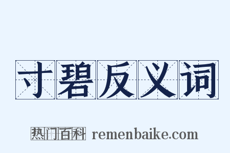 寸碧反义词是什么意思的图片